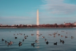 Washington monument view from Arlington sm